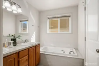 Master Bathroom - jetted tub