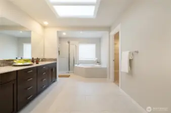 Primary Bathroom With Skylight