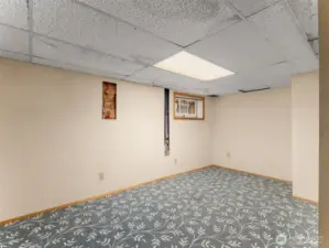 Finished den/office in lower level