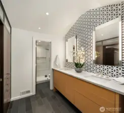 Primary Bath renovated in 2024 with Ann Sacks tile and skylights