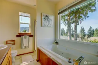 soaking tub with a view