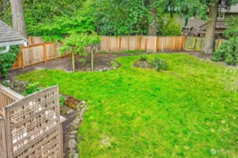 Large back yard with lush lawn and decorative plantings!
