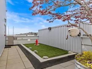 The pet station is just one floor up from this penthouse. So convenient for those with dogs