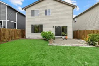 Back Yard