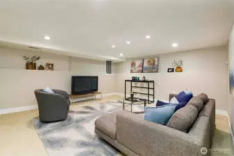 Lower Level Family Room