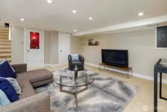 Lower Level Family Room