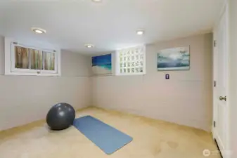 Lower Level Bonus Room