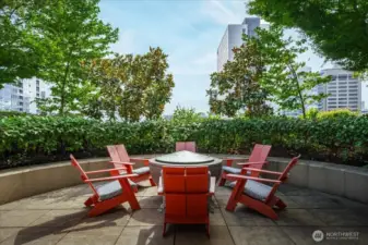 Fire pit on roof top deck, look for the BBQs and entertaining spaces!