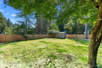 Irrigated lawn that’s newly hydro seeded and full of fruit trees!