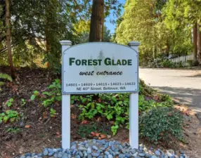 Welcome to Forest Glade!