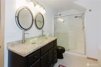 Primary bath with dual sink vanity, large shower, and separate tub.