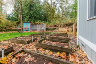 Raised garden beds.