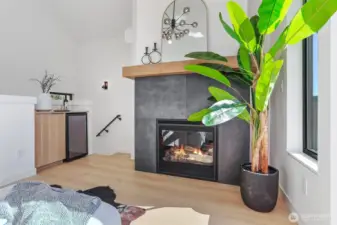 Gas Fireplace, Wine Fridge