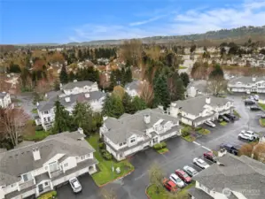 Complex is surrounded by plenty of tall trees and greenery.