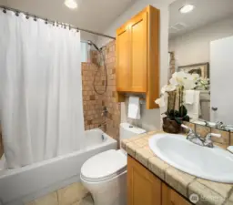 Lower level full bathroom