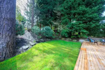 Level, Grassy Yard