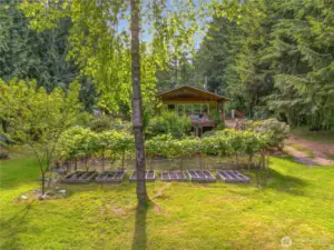 Established garden spaces and trellises ready for berries, veggies, or vine-covered dreams—grow your own food just steps from the kitchen.