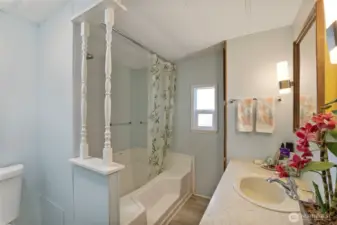 Tub/shower combo with step in