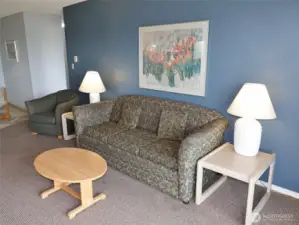 Hide-a-bed couch.