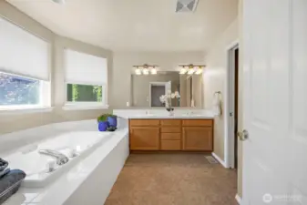 Primary bathroom.
