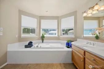 Primary bathroom.