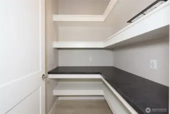 Walk-in Pantry