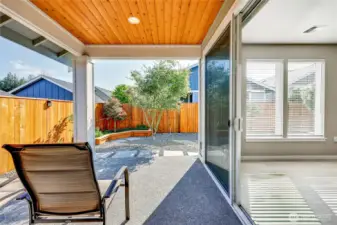 Covered Patio