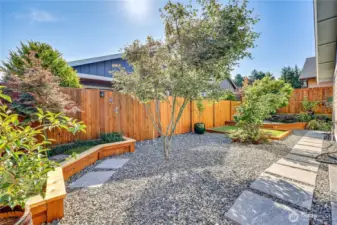 Low maintenance back yard