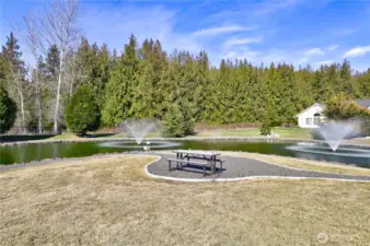 Pond
