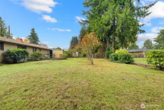 Huge backyard