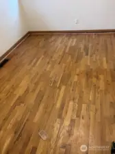 Under the new carpet is original hardwood floors just waiting to be refinished!