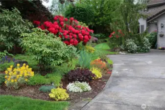 All exterior photos were taken in August 2025 to showcase the gorgeous flowers and park-like setting.