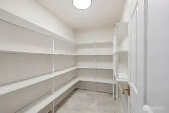 Humongous DREAM SIZED walk-in pantry!