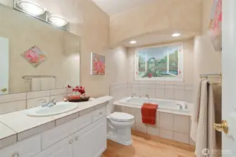 Guest bath counter and sink