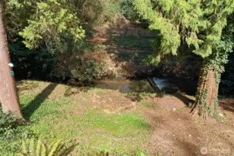 Serene creek views from the back of the home.