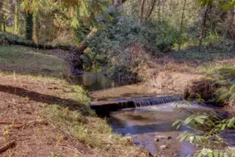 A creek runs through it.