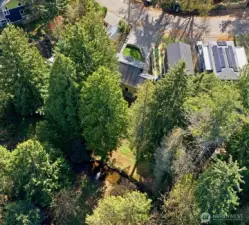 Eagle's view of the backyard and Thornton Creek.