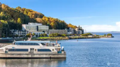 Enjoy the convinienece of talking the water taxi downtown