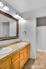 Guest Bath - upper level