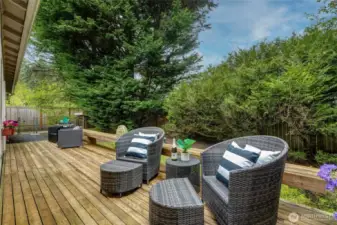 Big Deck For Entertaining & Party