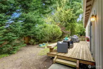 Easy Maintenance Backyard