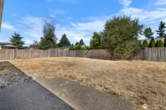 Very large backyard