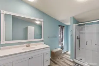 Primary bathroom, with LVP flooring.