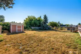 Shed in backyard great for extra storage!