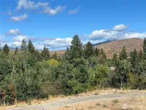 Private aspens is cool and relaxing in summer shade.