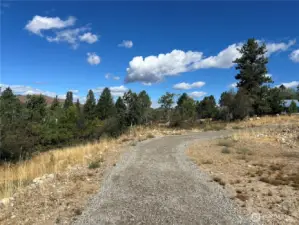 Natural privacy buffer with treed property edges.