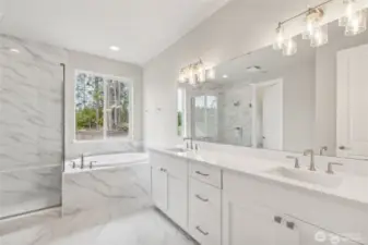 Deluxe Primary Bathroom on the Main Floor. All photos are of other Hastings in the community. Finishes can vary.