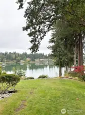 Deer and rabbits are frequent visitors to this gorgeous yard