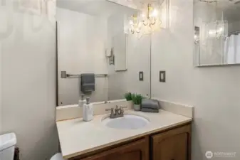 Hall bathroom w/ newer shower.