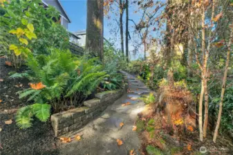 Winding paths through your personal arboretum!  Professionally designed and installed for beauty year-round.  Mature plantings easy to care for.